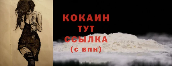 МДПВ Нефтегорск