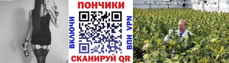 Бошки Шишки гибрид  сайты даркнета наркотические препараты  Благовещенск  цены наркотик 